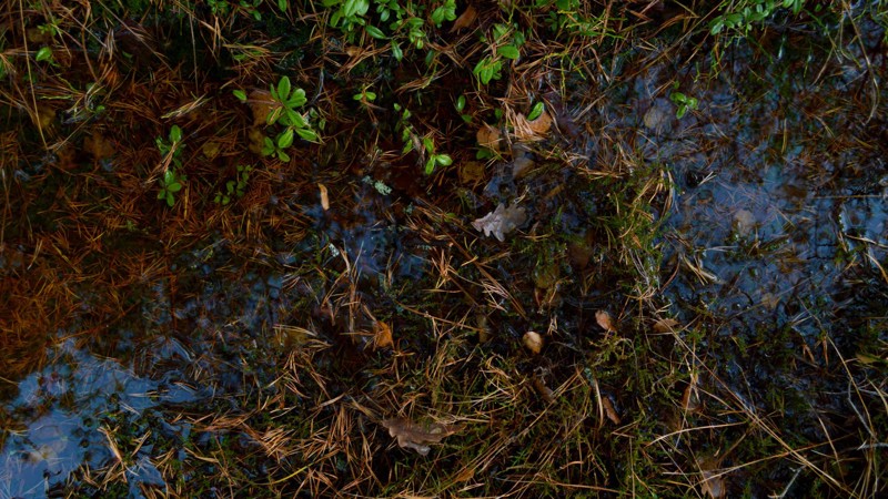 Baggrundsbillede til Godkendelse af grundvandskemi