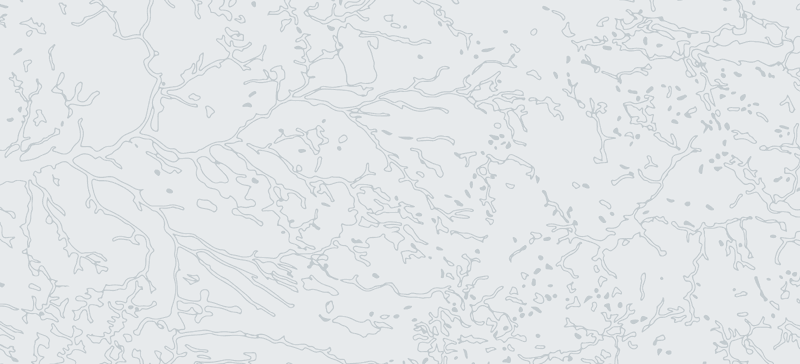 Baggrundsbillede til Udvikling af Artsdata (Naturdata)