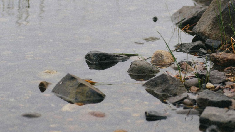 Baggrundsbillede til KAMP