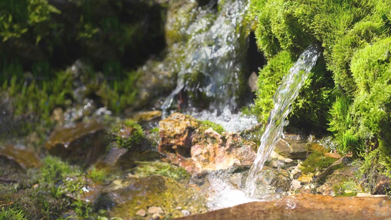 Nyhedsartiklens baggrundsbillede